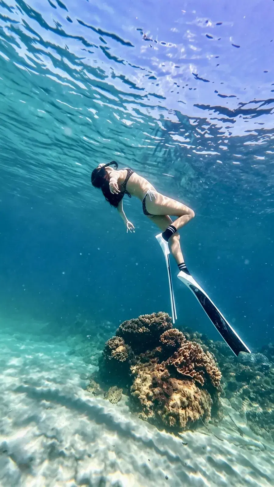 Freediving trên rạn san hô